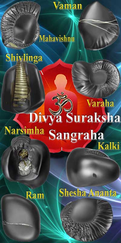 Exotic Divya Suraksha Sangraha-EDSS001